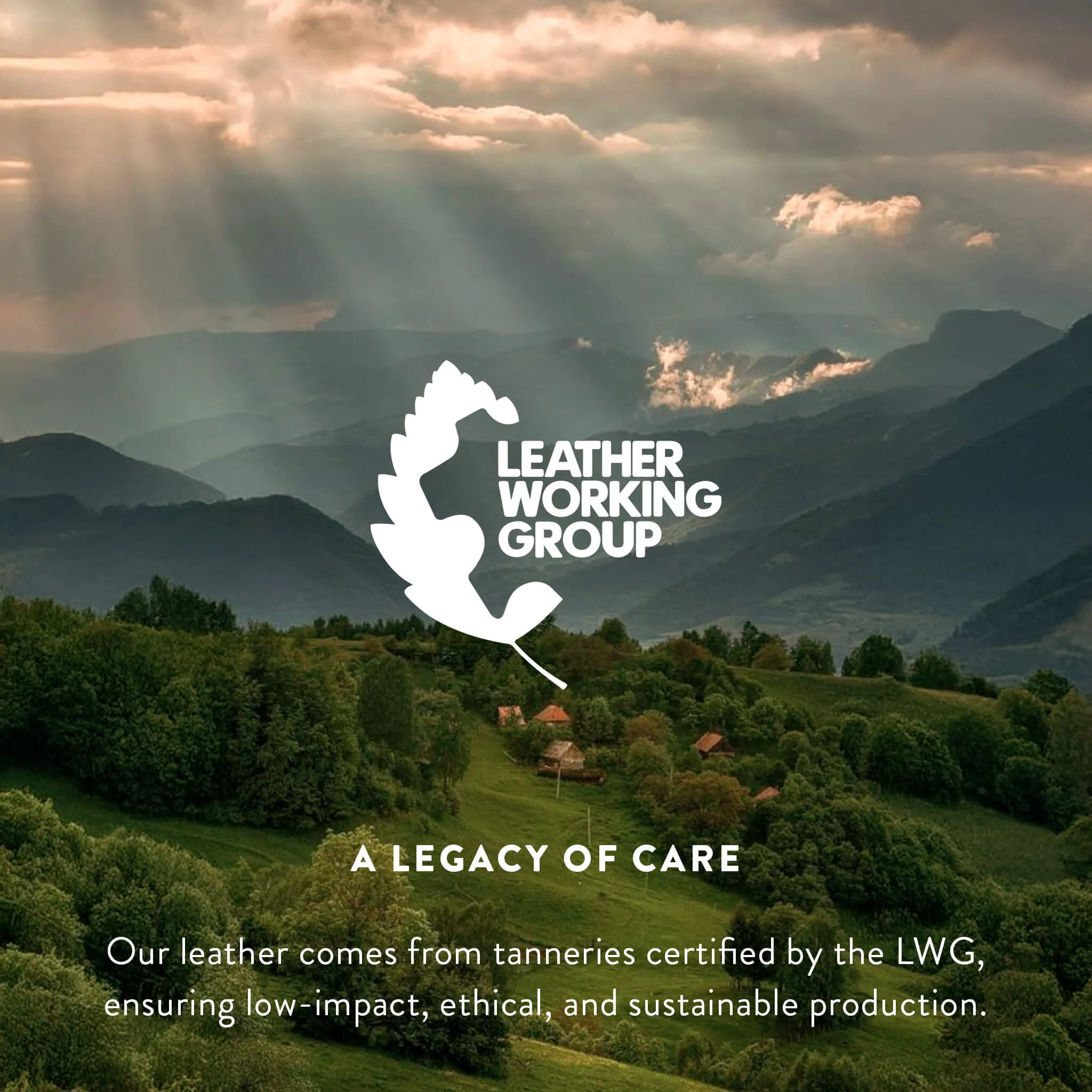 Brindle Cowhide Rug - Image 13