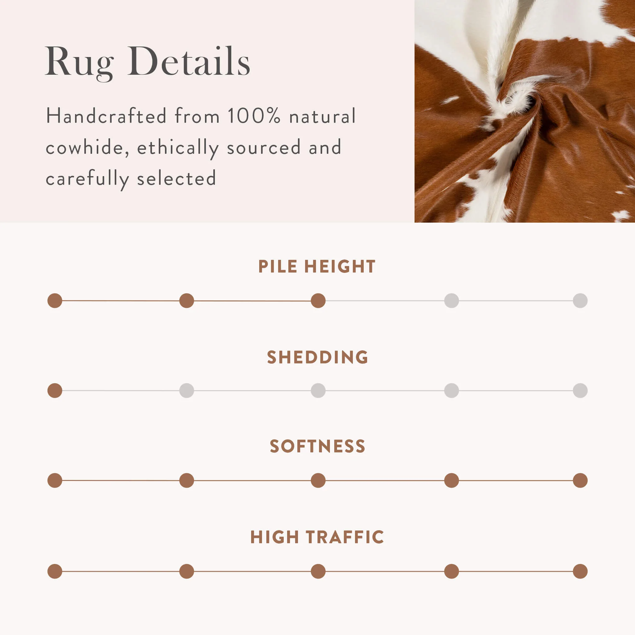 Brown and White Cowhide Rug - Image 13