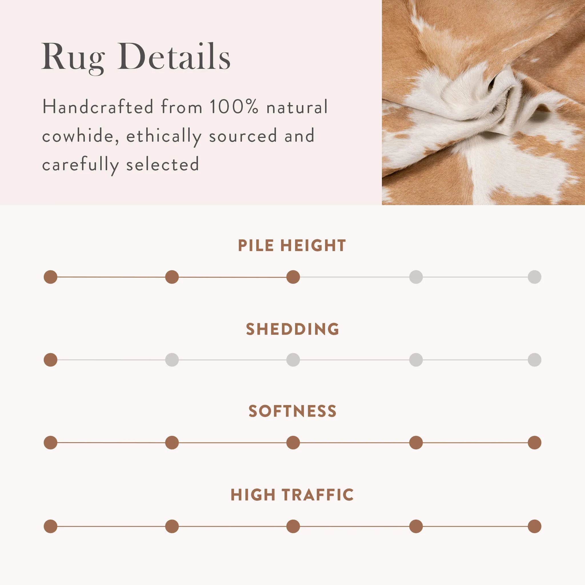 Palomino and White Brazilian Cowhide Rug: LARGE - Image 12