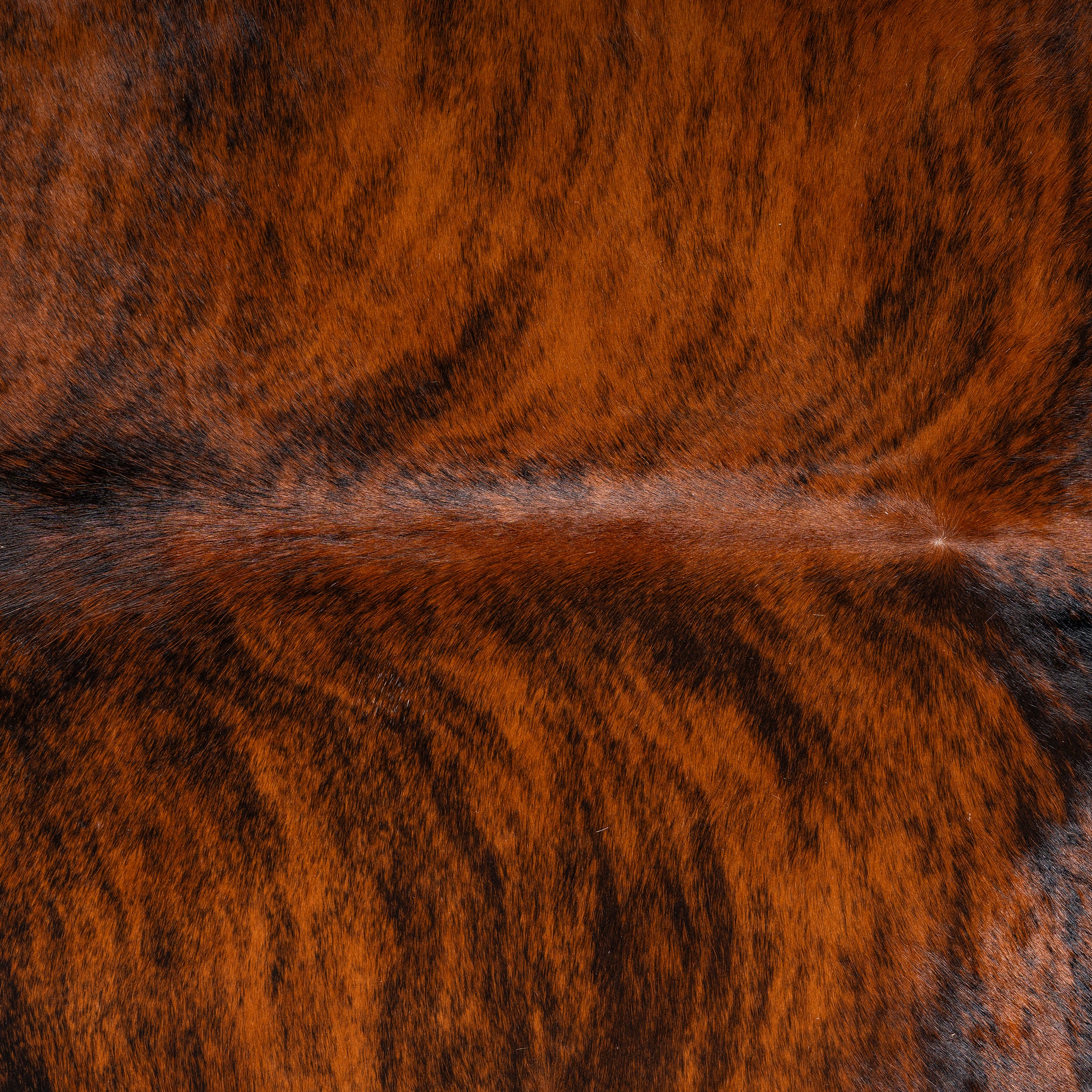 Brindle Cowhide Rug - Image 9