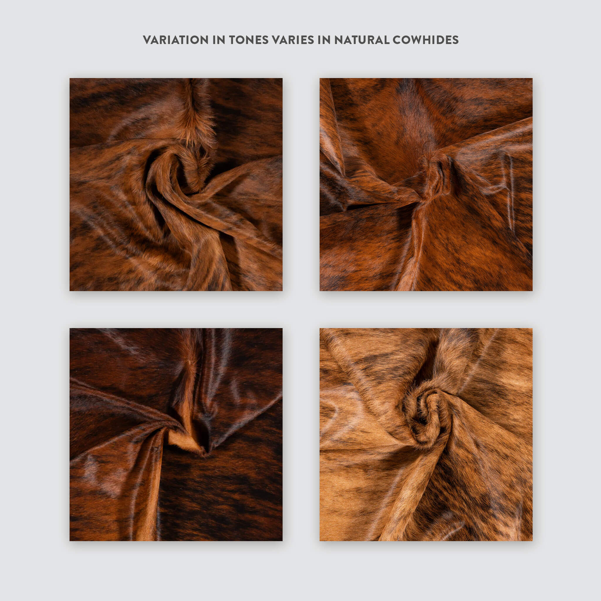 Brindle Cowhide Rug - Image 11