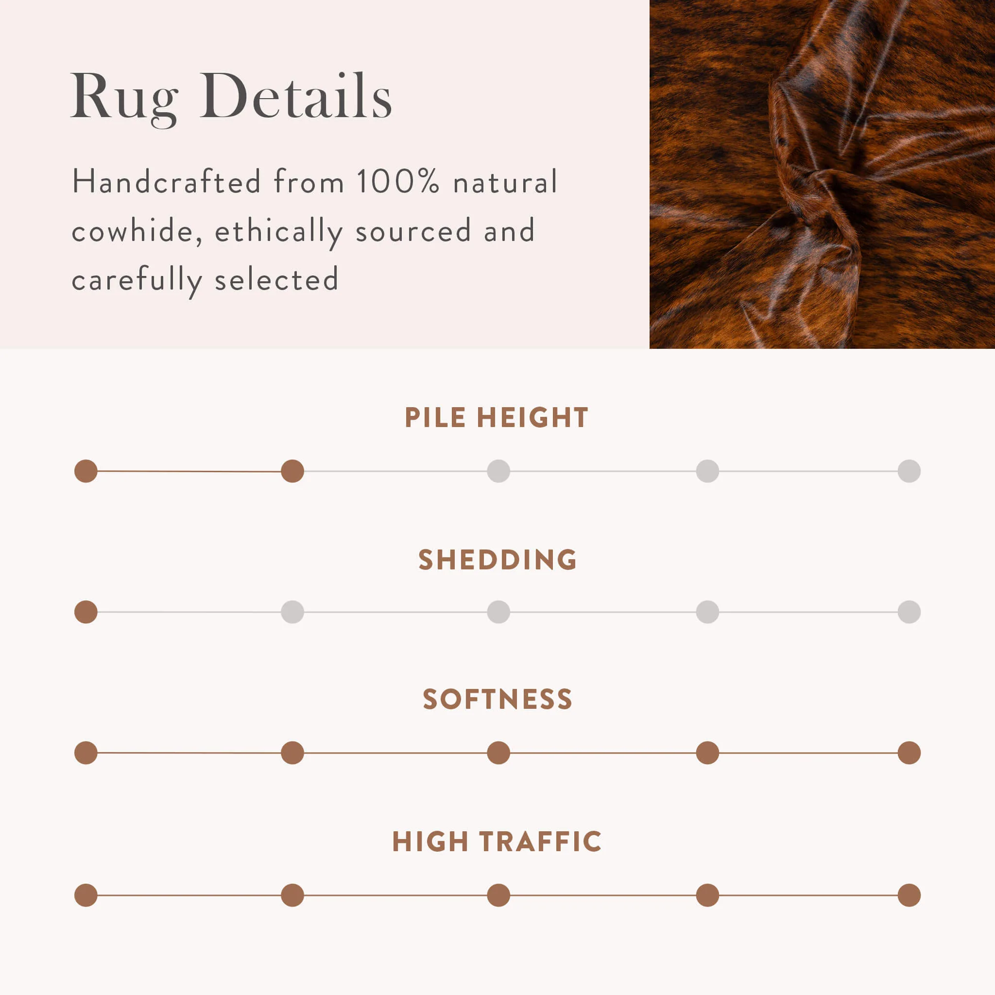 Brindle Cowhide Rug - Image 10