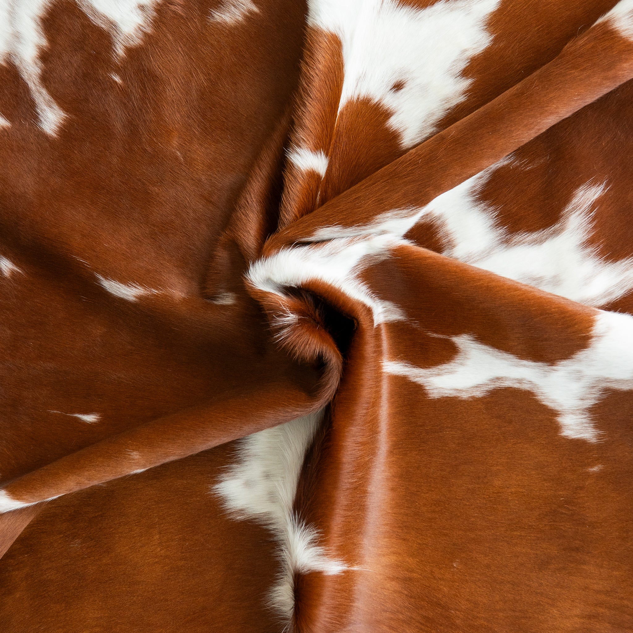 Brown and White Cowhide Rug - Image 12