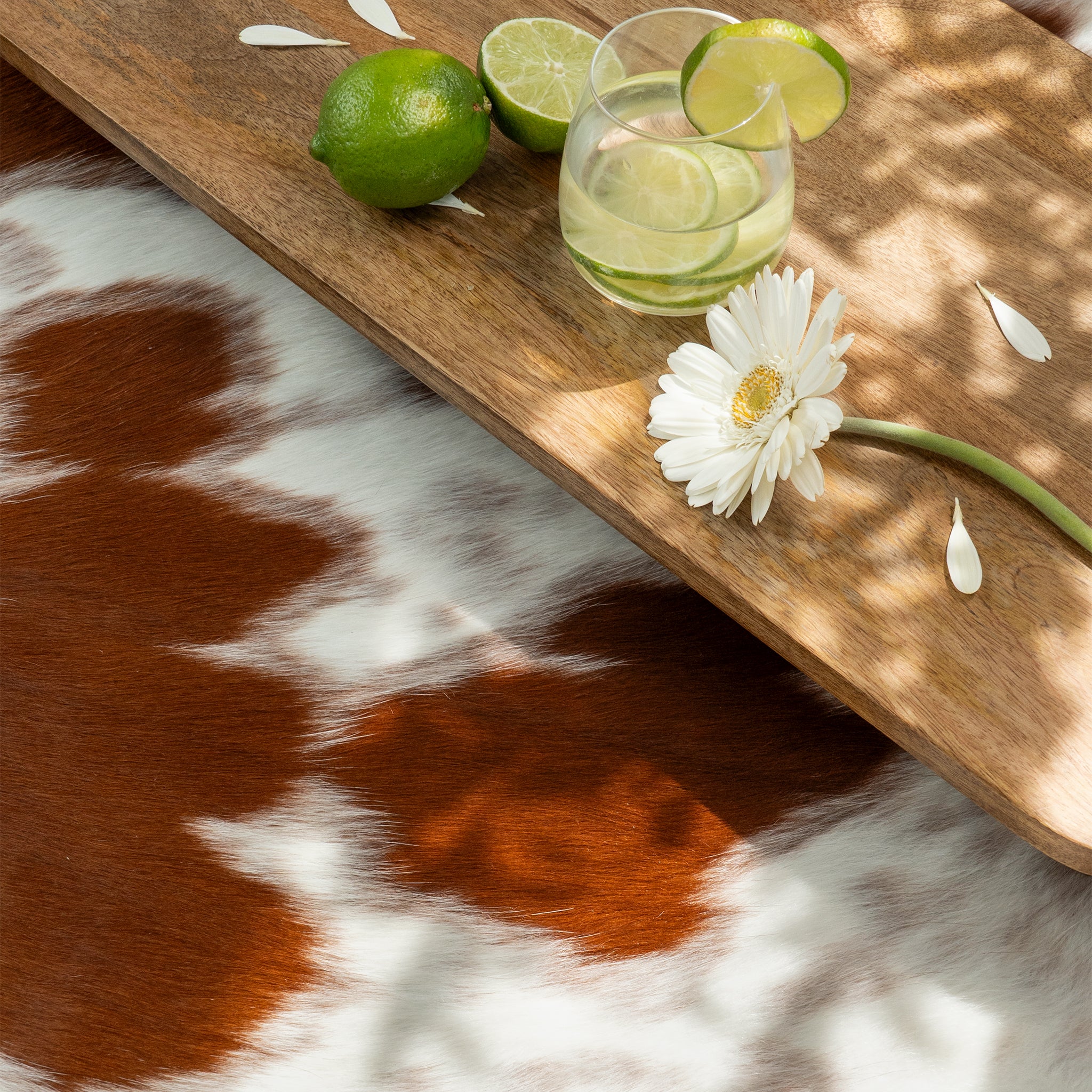 Brown and White Cowhide Rug - Image 6