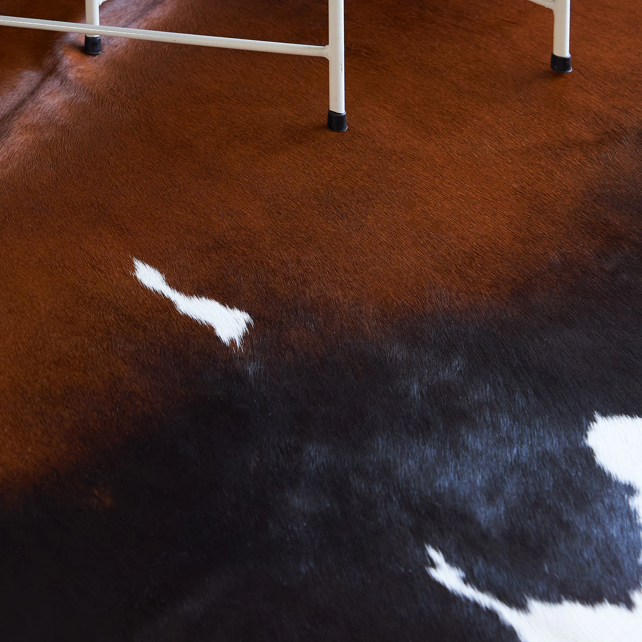 Chocolate and White Brazilian Cowhide Rug: XXL - Image 7