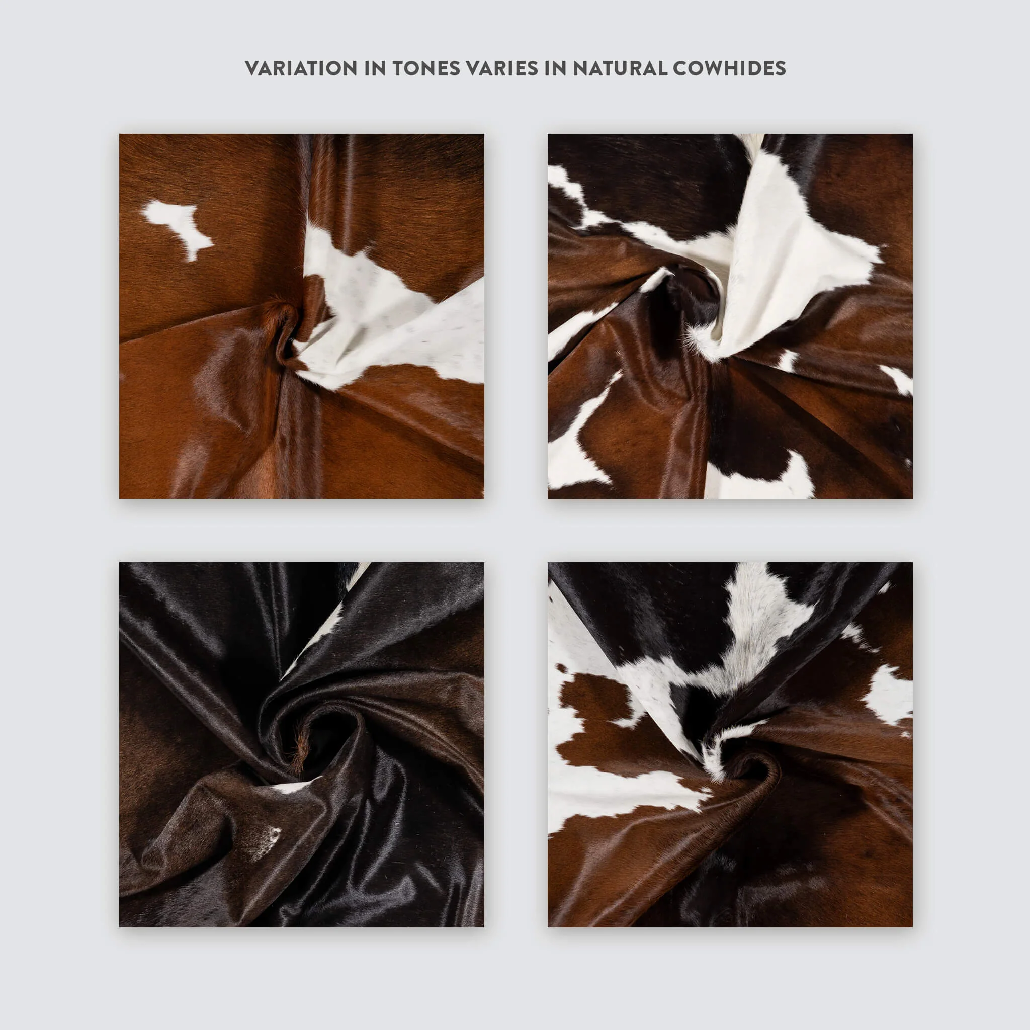 Chocolate and White Brazilian Cowhide Rug: XXL - Image 10