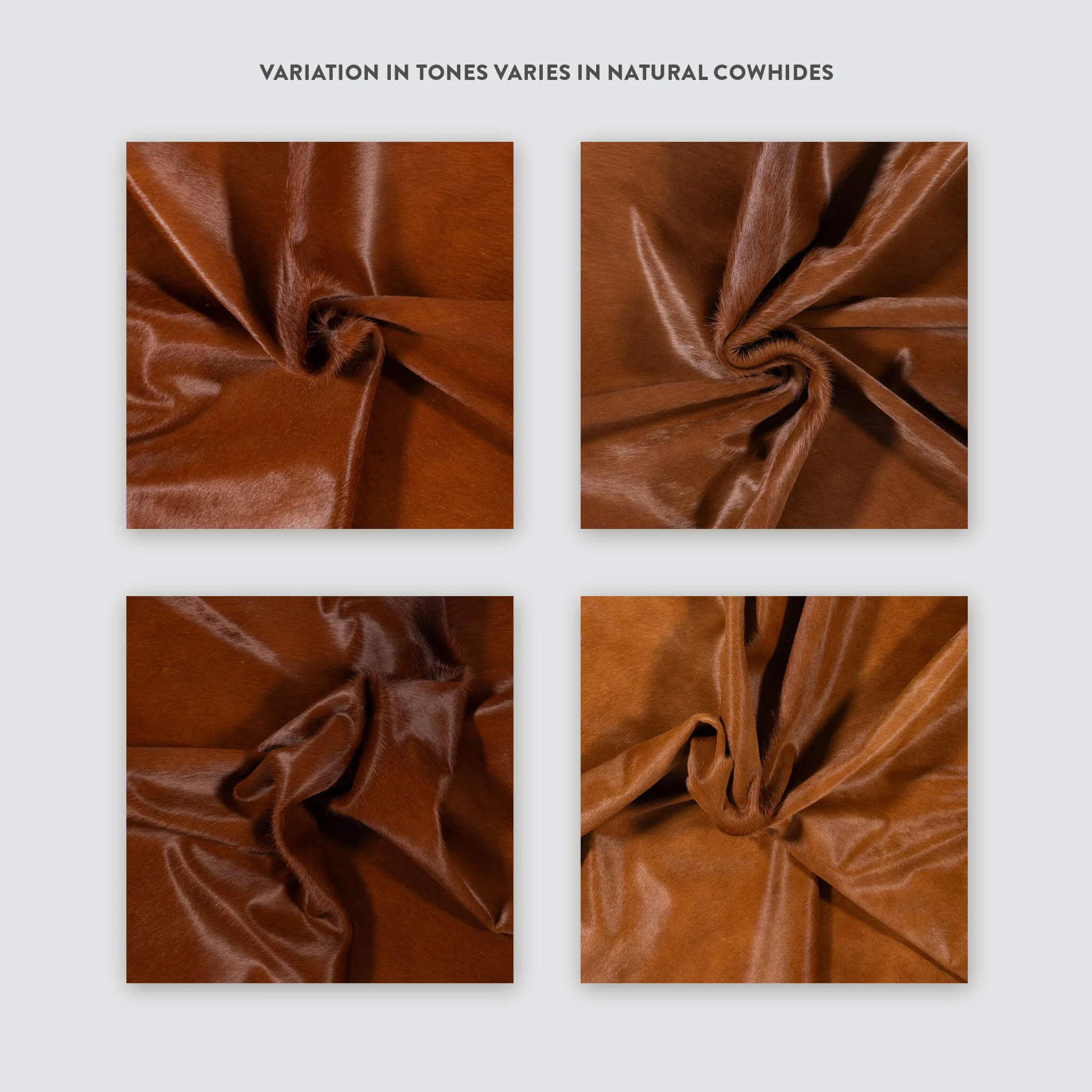 Solid Brown Cowhide Rug - Image 12