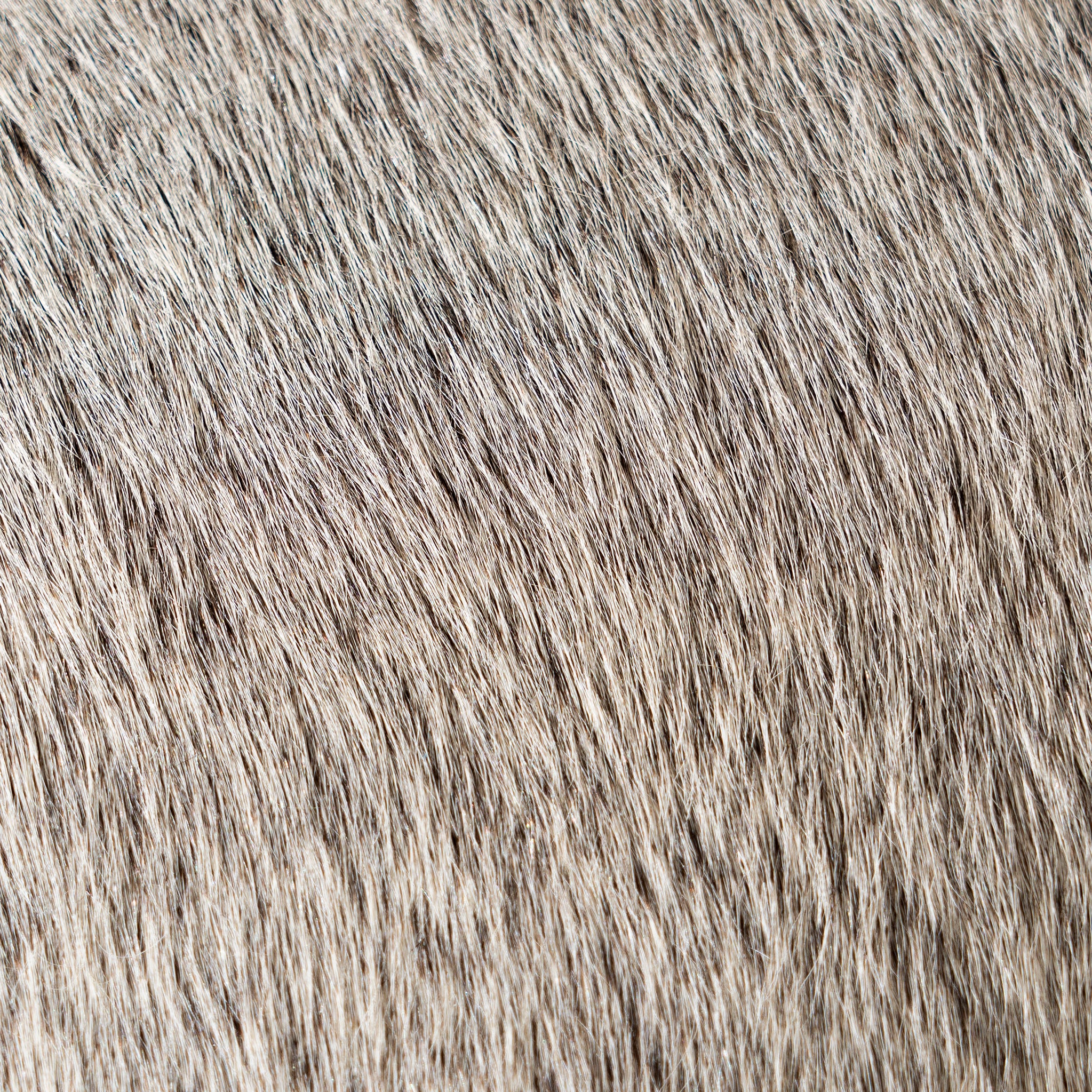 Grey Cowhide Pillow - Image 5