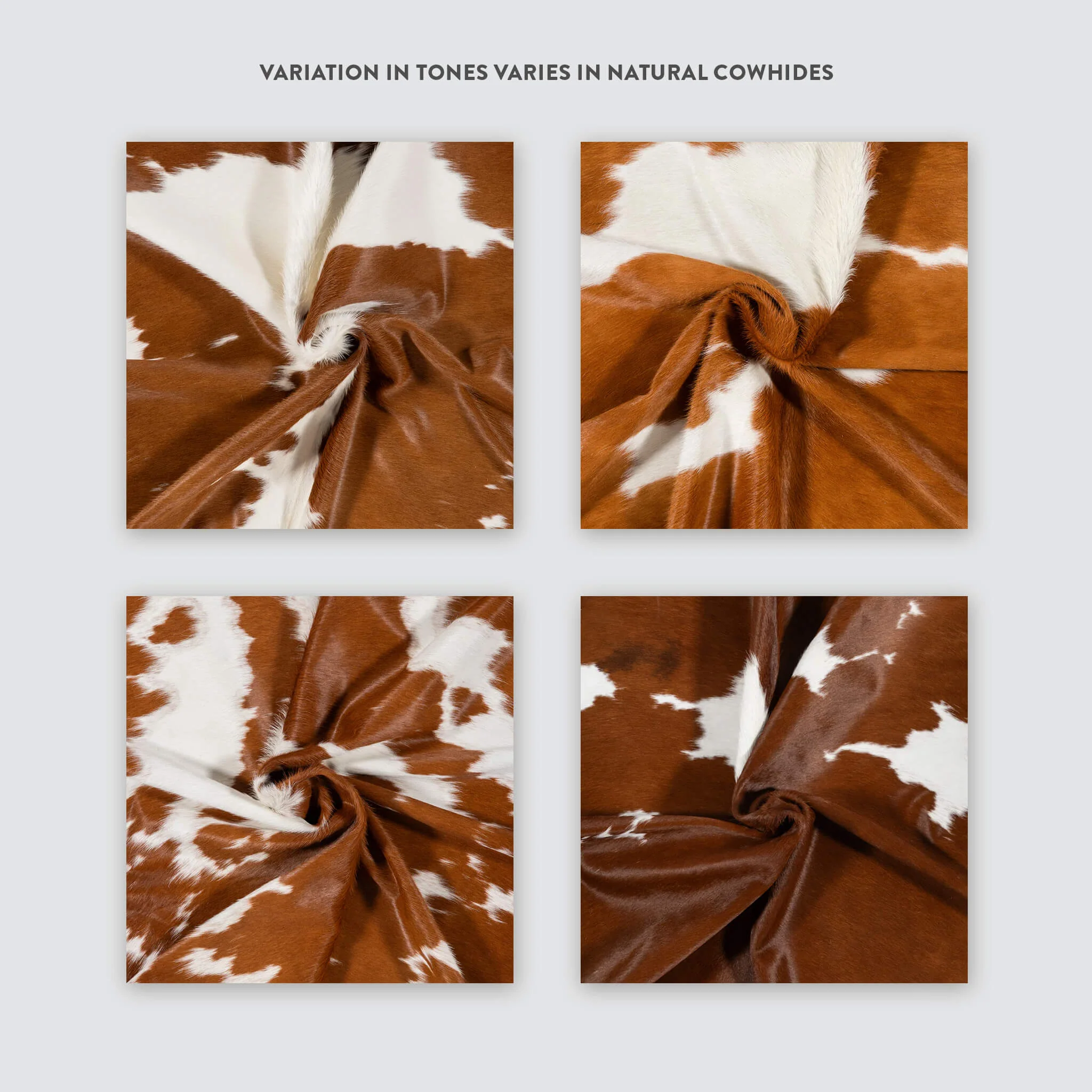 Brown and White Cowhide Rug - Image 14