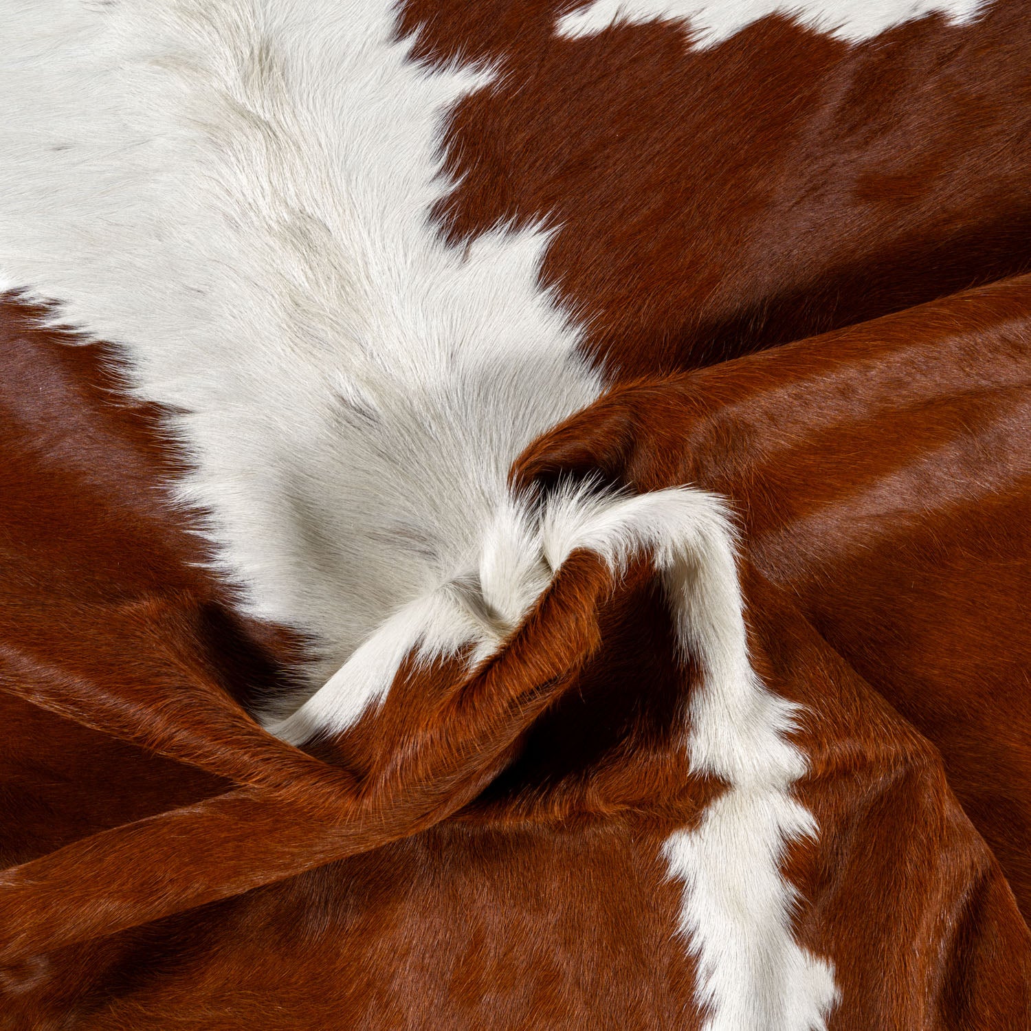 Hereford Cowhide Rug - Image 4