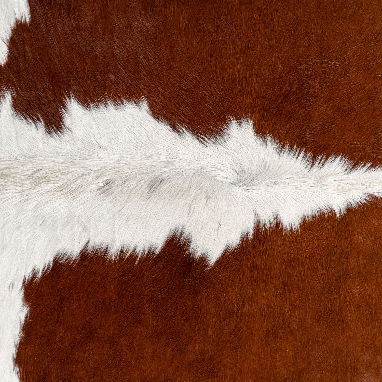 Hereford Cowhide Rug - Image 5
