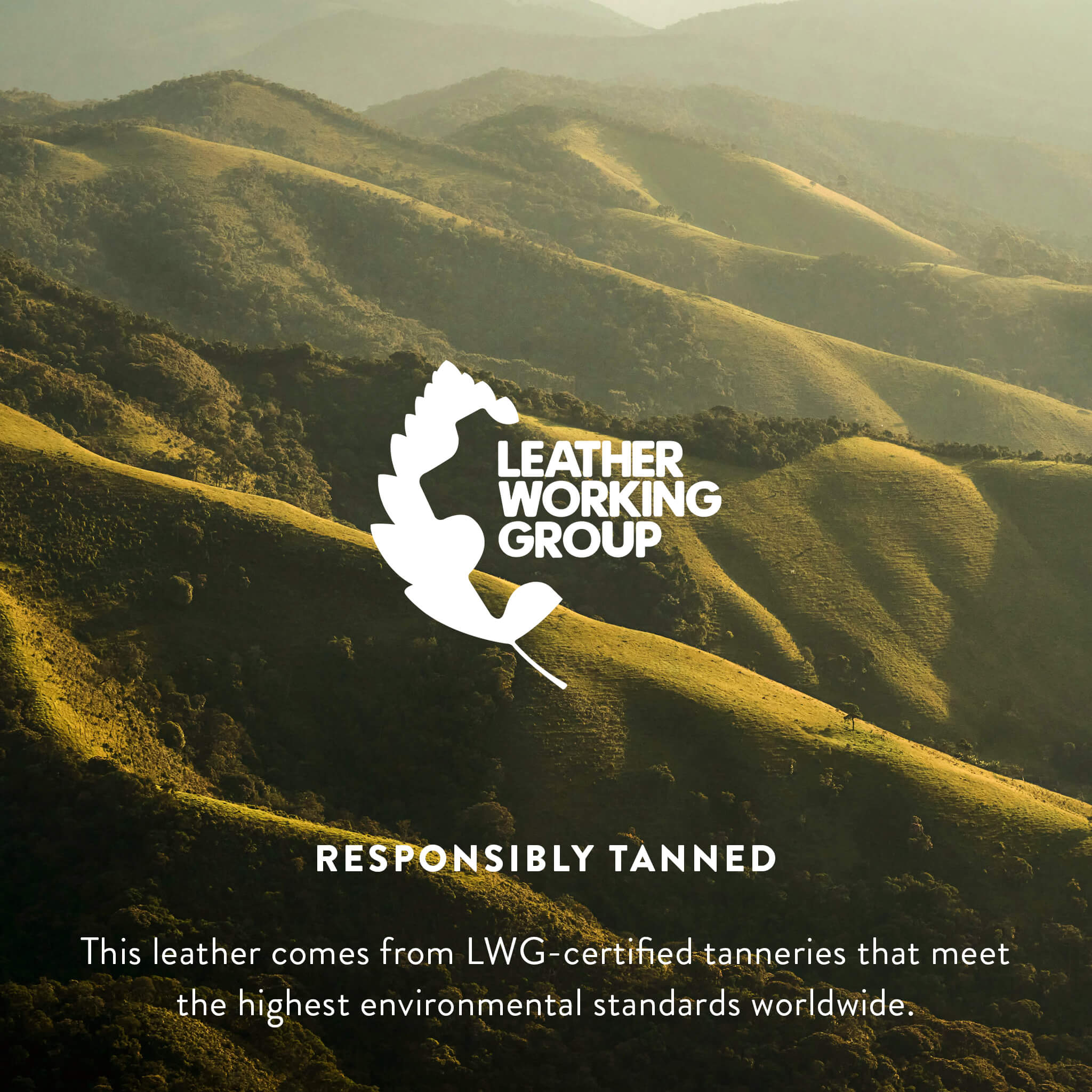 Palomino and White Brazilian Cowhide Rug: XL - Image 14