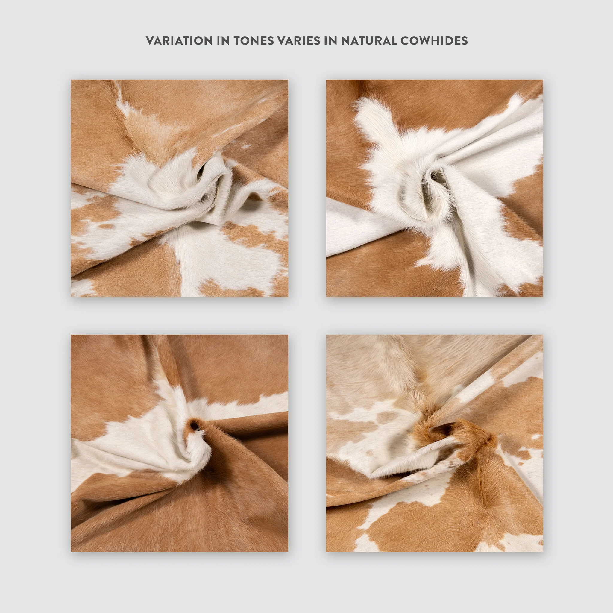 Palomino and White Brazilian Cowhide Rug: LARGE - Image 13