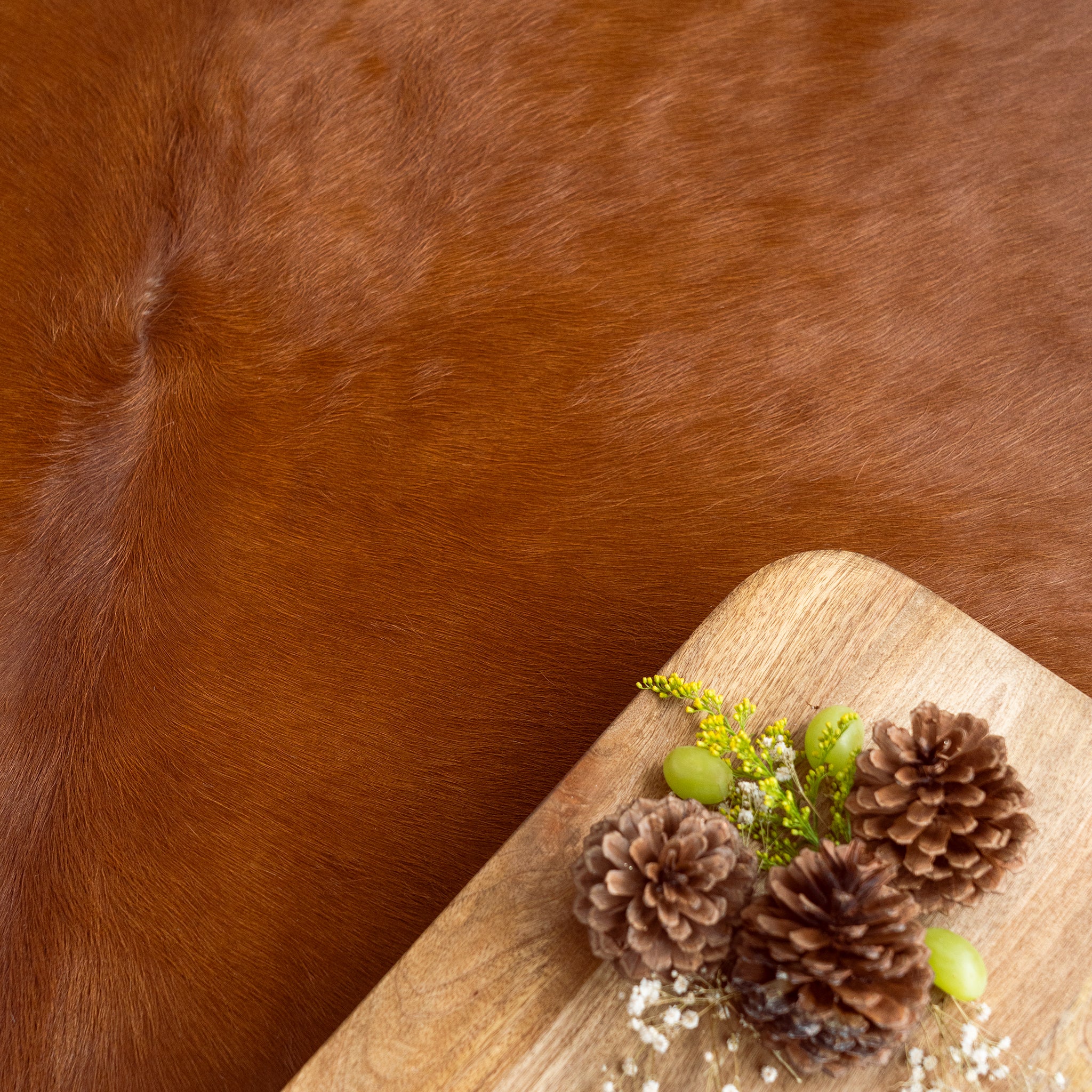 Solid Brown Cowhide Rug - Image 5