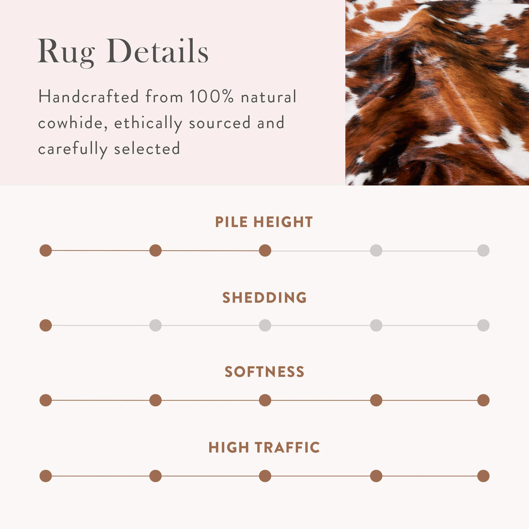 Tricolor Cowhide Rug - Image 14