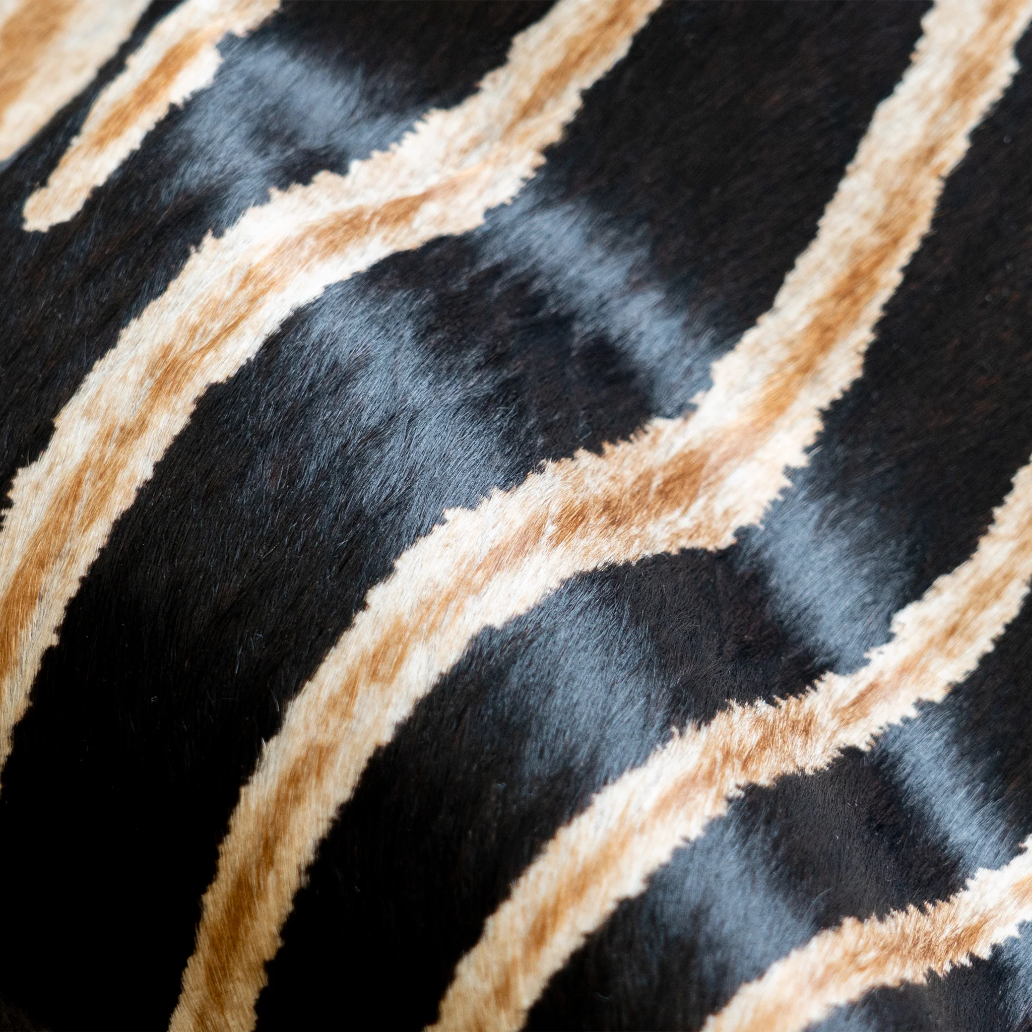 Zebra Safari Cowhide Rug - Image 15